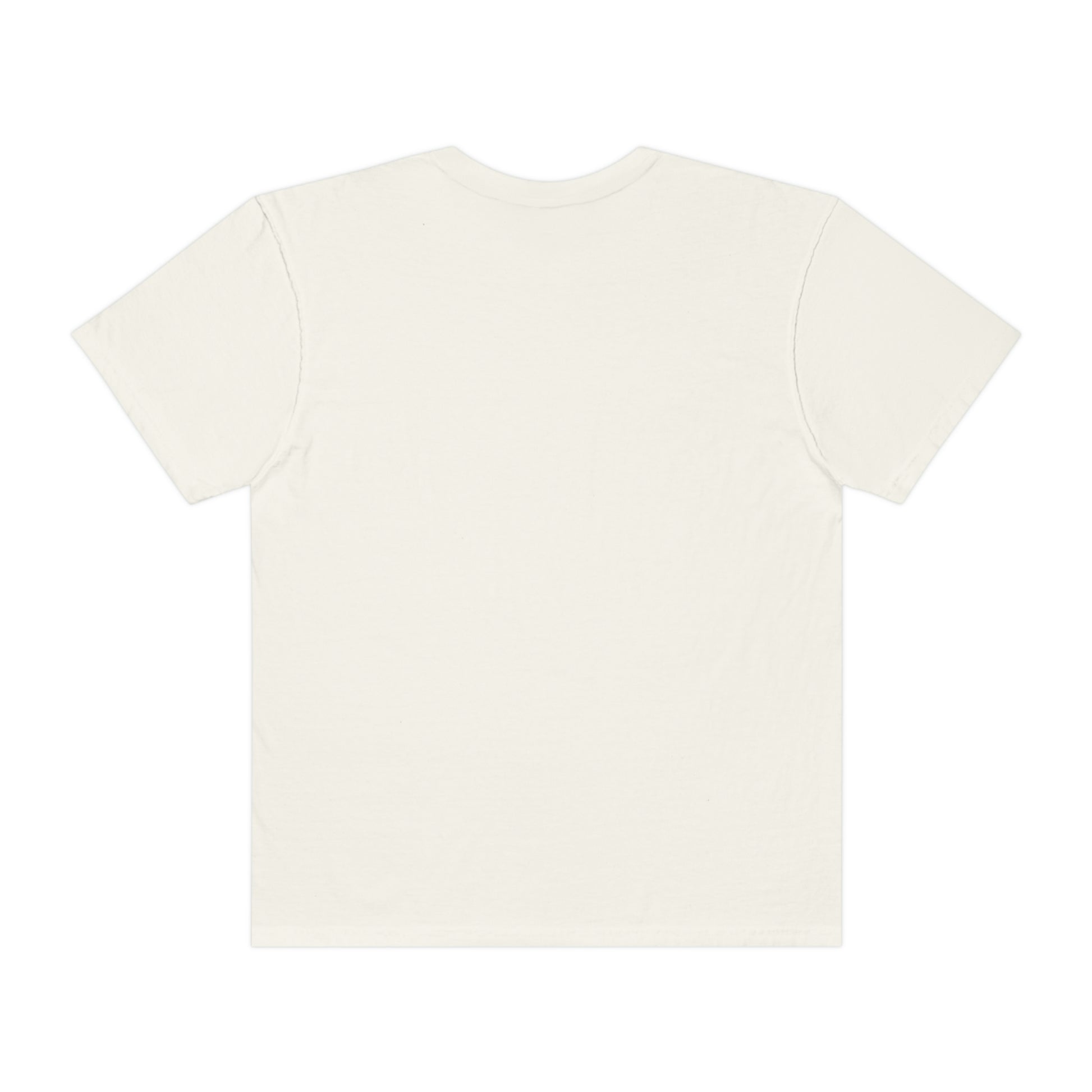 Black Women Don’t Owe You Shit Unisex Garment-Dyed T-shirt - Bad Perfectionist Co.